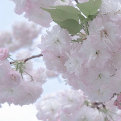 曾都FurryQQ群介绍